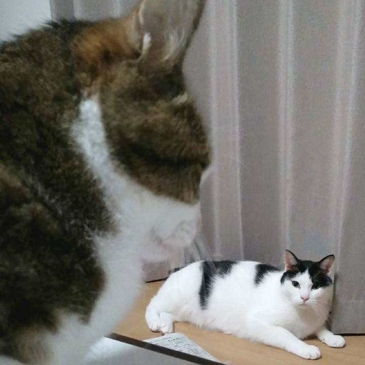 10737c44 fa10 4123 a265 e01614f4ca0b 1549536115978