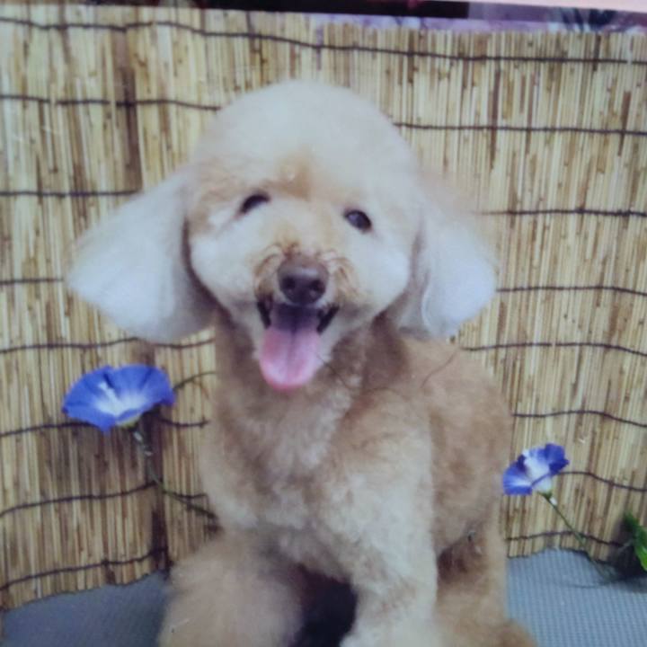 1073831b 8f5b 452a b50d cee7b2158053 1660995299635