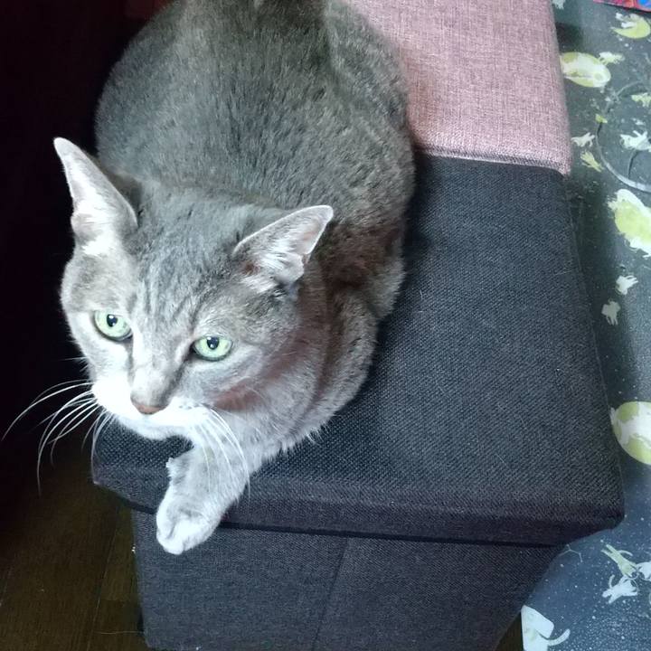 107398b5 1dc3 4a11 a31e 6a8ba23856ae 1666418499435