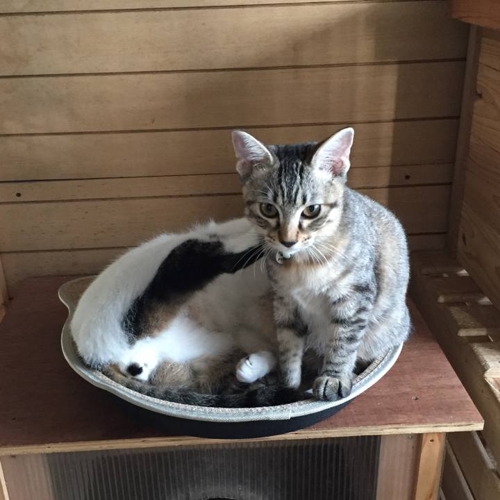 1073a569 e4f4 4f8f b6ae 4a5594befba3 1568418396431