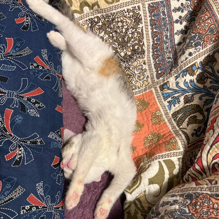 1073b7b9 5709 4203 a6f3 574b081fed4a 1766152818139