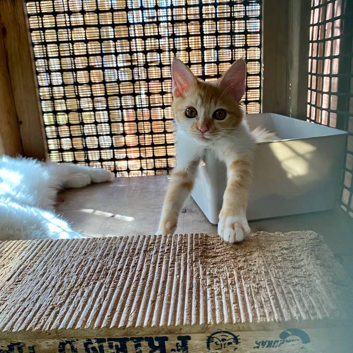 1073d894 1922 406d be8d 9b06f6de5adb 1632960840281