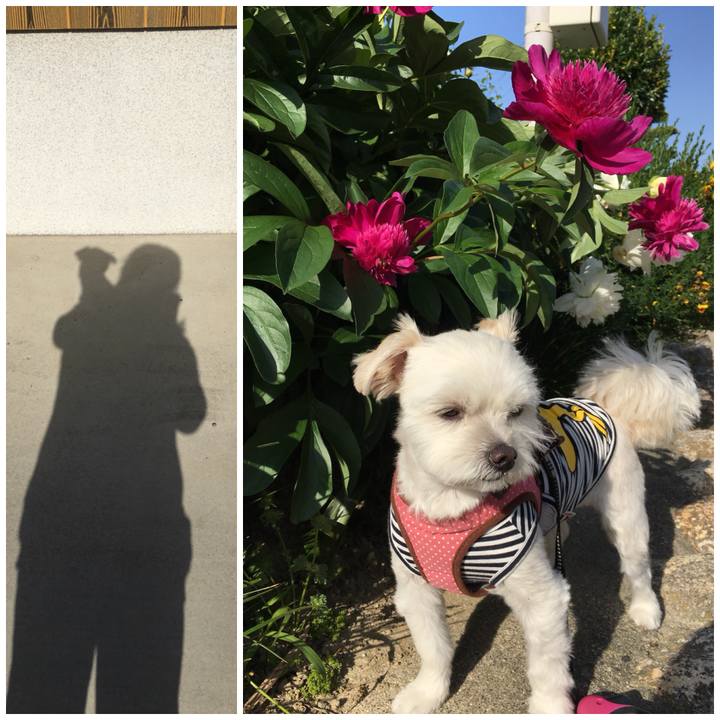 107410af 5635 4237 86b7 c7e37f74dd41 1525505648669