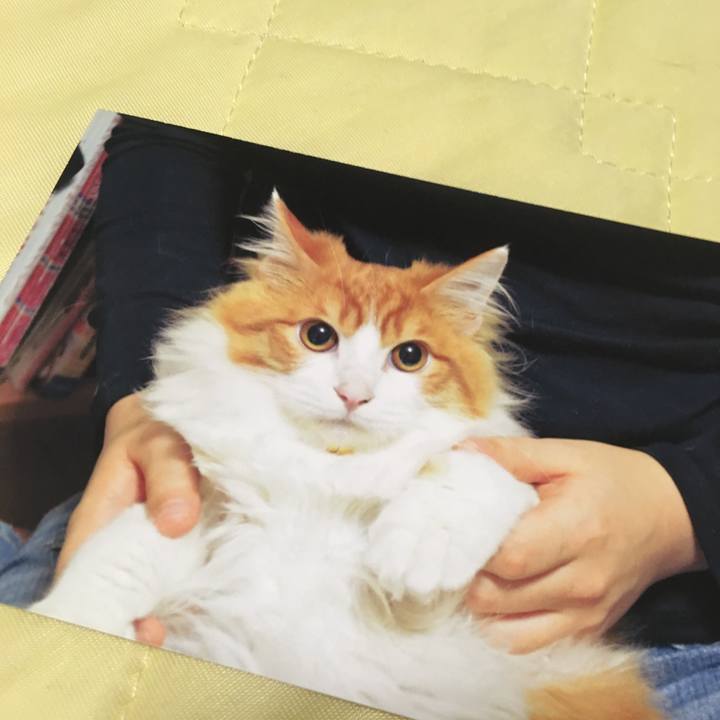 107452b5 9bee 42fd 8701 692b977403ba 1560788536987