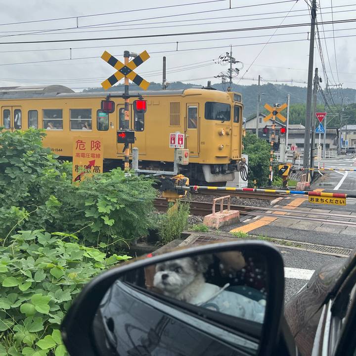 107495fa 12f2 4d1a 99ce 85b45e097f25 1759812782122