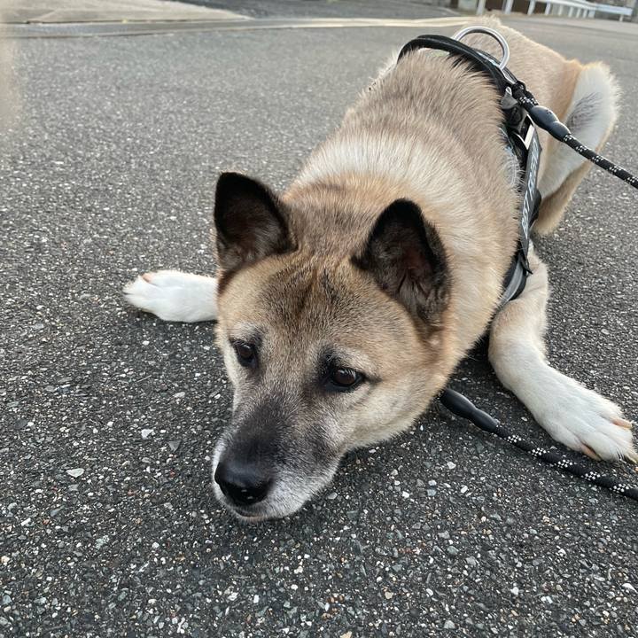 1074e4f4 db5d 471a bc77 e0bf0cb54eeb 1732019411095