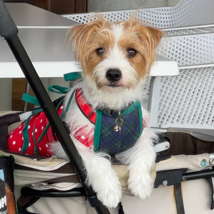 1074fa7c 919e 4bf0 8e04 19a101cdb3b1 1759214075529