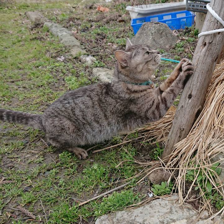 1074fca1 ef67 43c2 abbb 560318c9c3cd 1553927556266