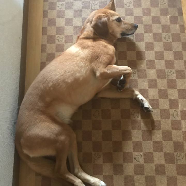 1075090b 92d9 4093 b256 60bd6478d134 1533086233802