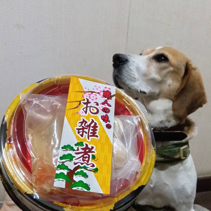 1075605a 0f59 4ca4 bf97 4a2c0b0130c5 1734500775698