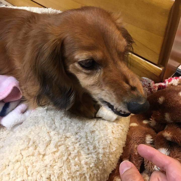 10756fb8 29ea 437f a4b0 24da91be9329 1549980560482