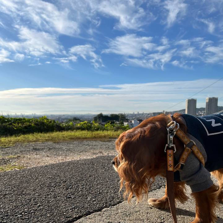 107580b4 ac3b 4f35 b6ce 60d1e6dc81c1 1762247433116