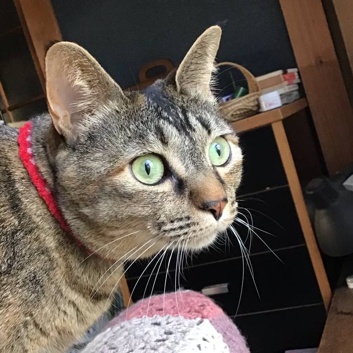 10759a71 33ab 4f0a 97fe c6c10a51c0db 1678953967690