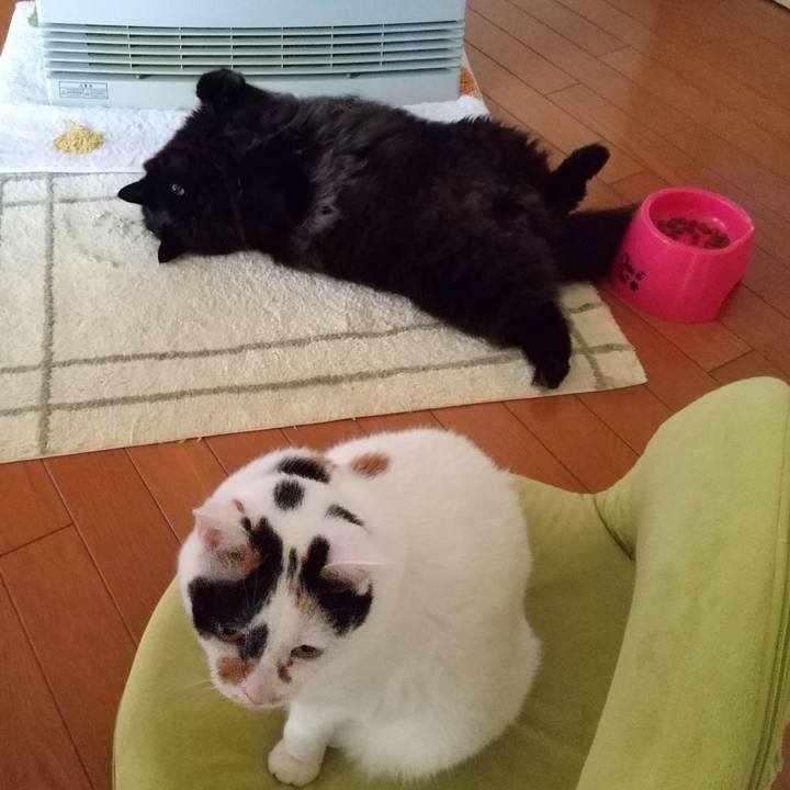 1075bb63 4eb5 40c1 8cb0 c16a6611319f 1611354839572