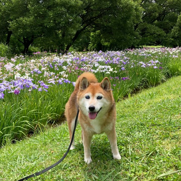 1075c41b f154 47ba 8d08 783b056c367a 1717733427328