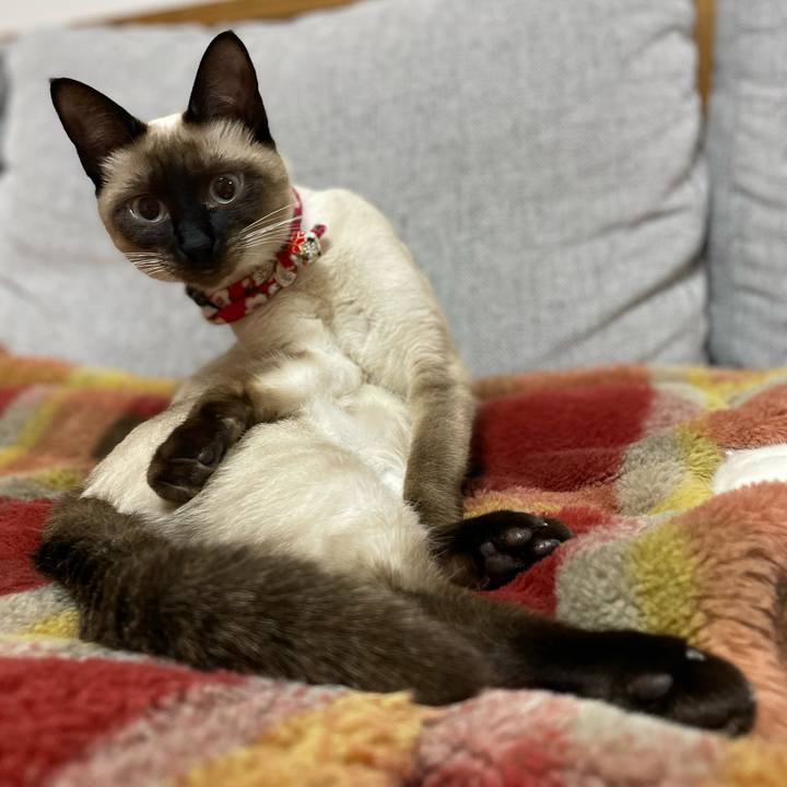 1075d21c 9258 4b07 bc08 421c276ed62d 1707852136844