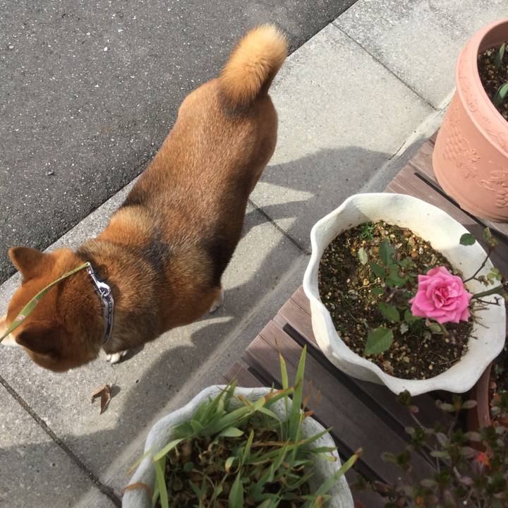 1075e6c1 2d7d 498c a412 096689301a30 1580787398091