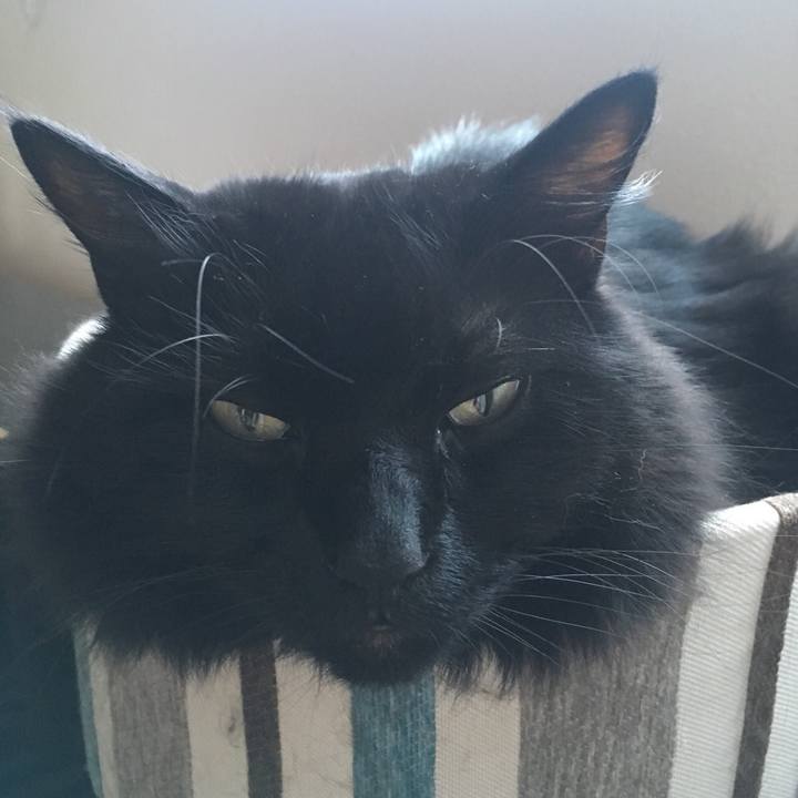 1075ff32 bf25 4aa9 a14d 5a1d63b20a47 1530073448558