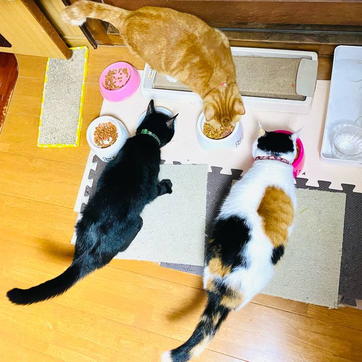 10760c04 5904 4894 9d99 7b7eaa41e315 1696773665862