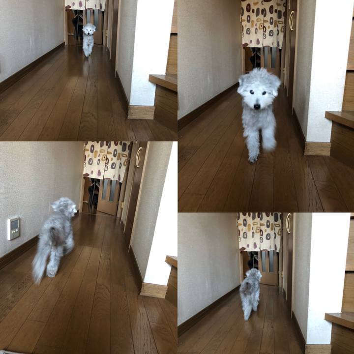 10760db0 3df5 4842 82aa 0988cd67c44a 1612410788131