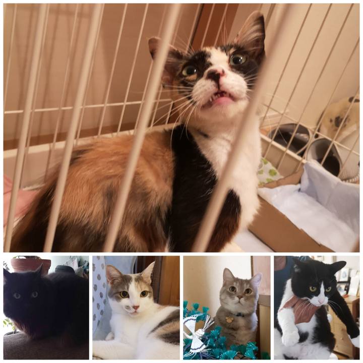 10761fe0 4d87 42a1 a0c4 62964c7a2d8d 1593404651307