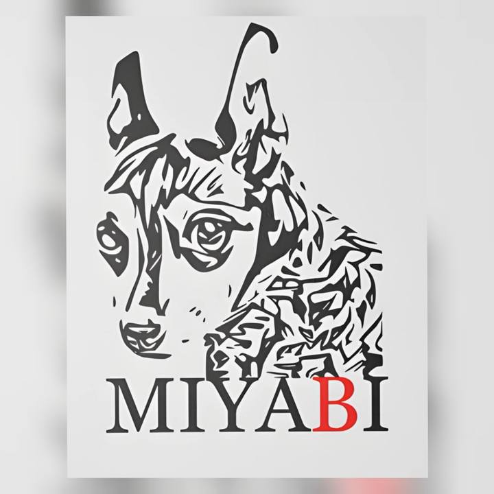 107653b3 460e 463f 8fc0 f9268b360079 1739713483347