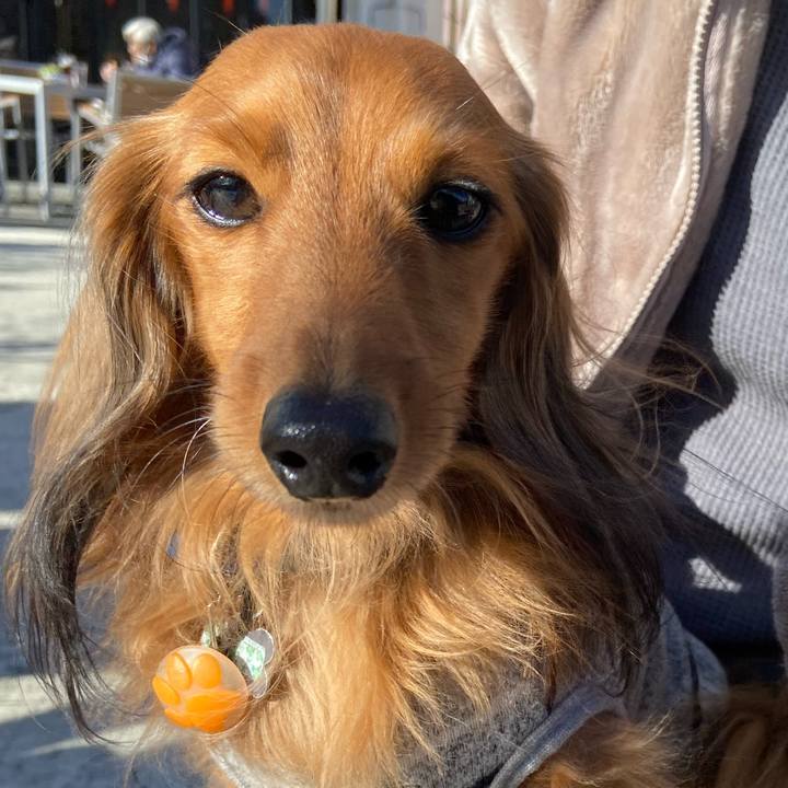 107654b1 3f36 4dec a5d7 a4a8d12f184c 1641350743039