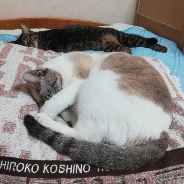 107683ac 8b7c 4cb3 ad9f 9afef0ea8fc9 1532178563062