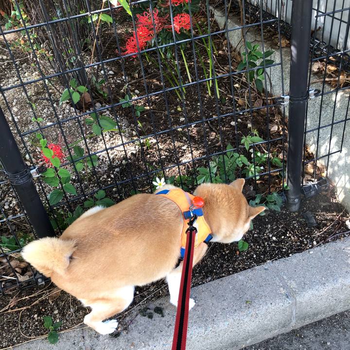 10769072 12a9 4184 8e6c cc15678be5b7 1601610280696