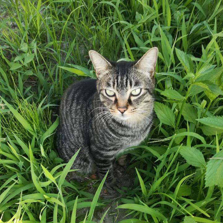 10773a24 847f 4d23 a416 9a14b1c2bd82 1532509065243