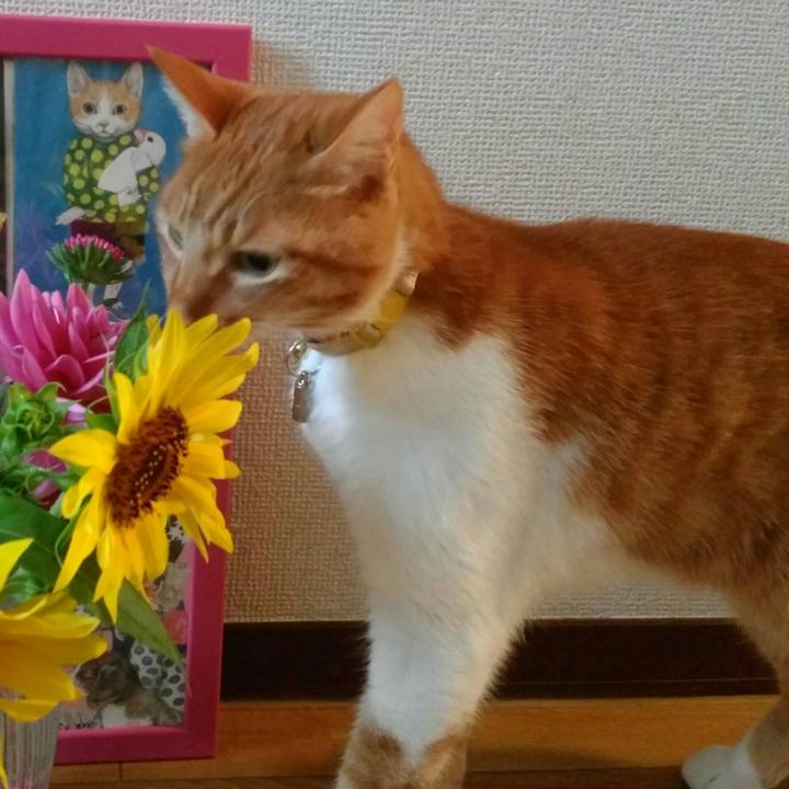 107763b9 b2c2 4e8a 9fc8 3c3f736fbc49 1564378033438