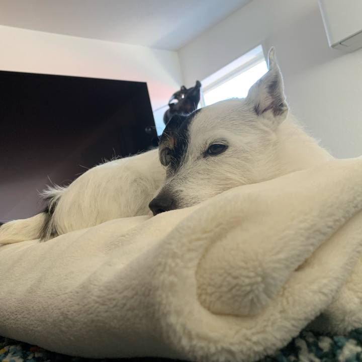 107775d2 d982 45e8 bc78 249a40549cc5 1715311244423