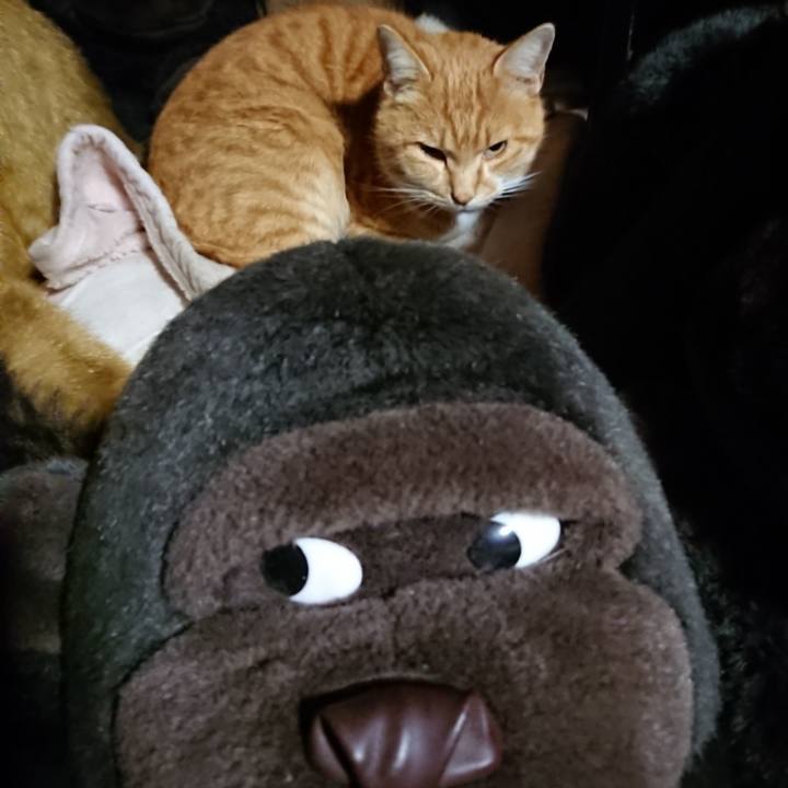 1077767d cbaa 4e39 801c f977ca1ab442 1606388363225