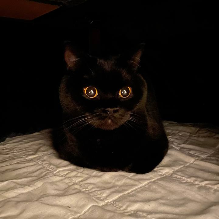 10777fc5 6c32 4f1c b4c2 d3edccf0e9b0 1669718937724