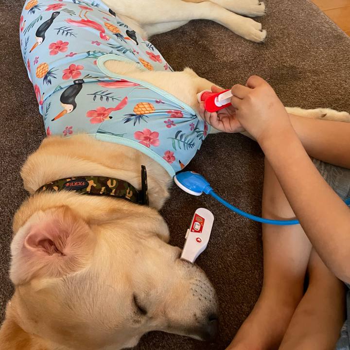 10778c0e 20ce 42c2 8bb2 3c64272259b5 1621673318901