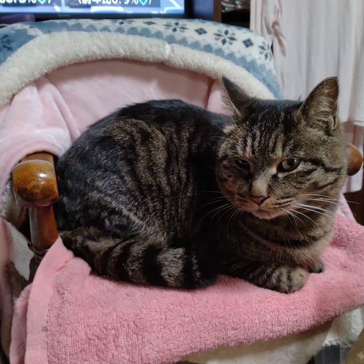 10779df9 55f2 4035 9486 68872d742c04 1672919657190