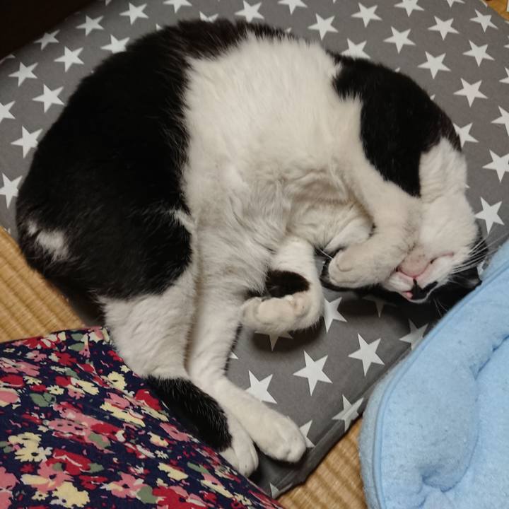 1077e573 8868 4849 8f25 b03b9f3be031 1526480165849