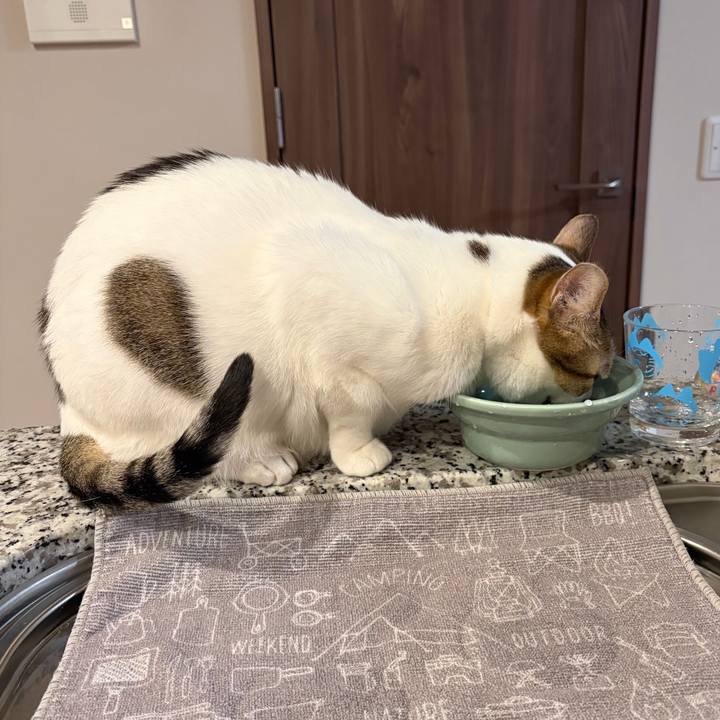 1077f349 ab88 4ebc b729 ba4fecdfce70 1768095662212