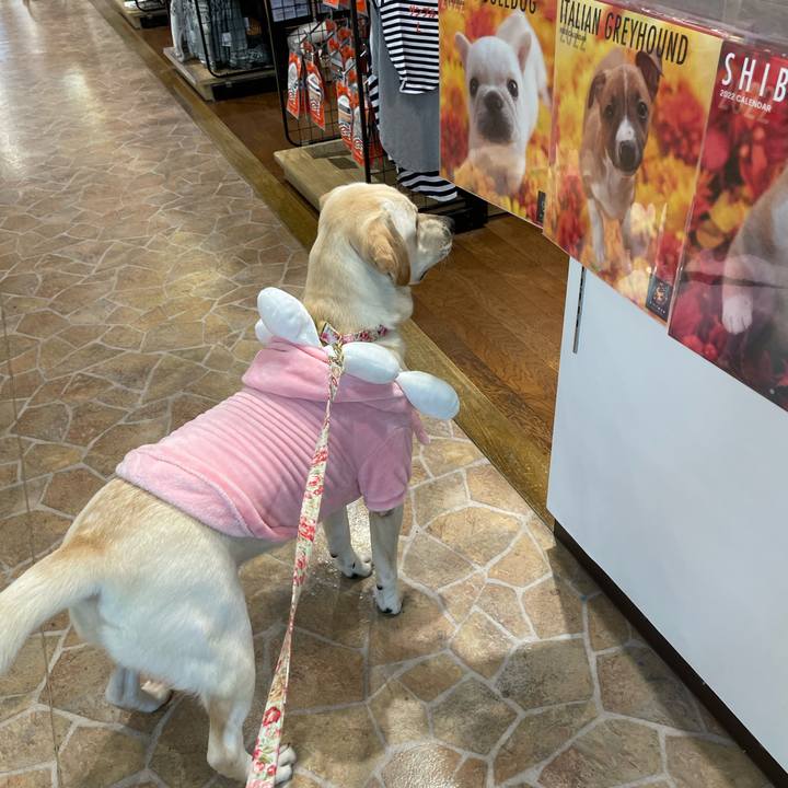 10781637 aee6 4442 a5cc 19567f65e652 1638495074430