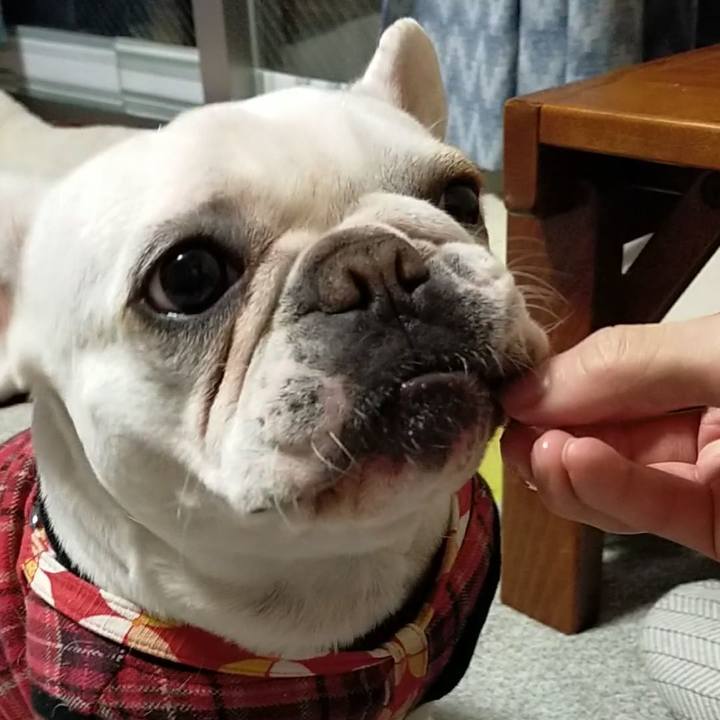 1078259c f4b0 4886 846b bc3cd44c8d9d 1640515307138