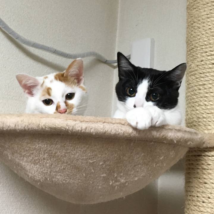 10783f84 42d4 41eb b77f 35c1240957e8 1580353200531