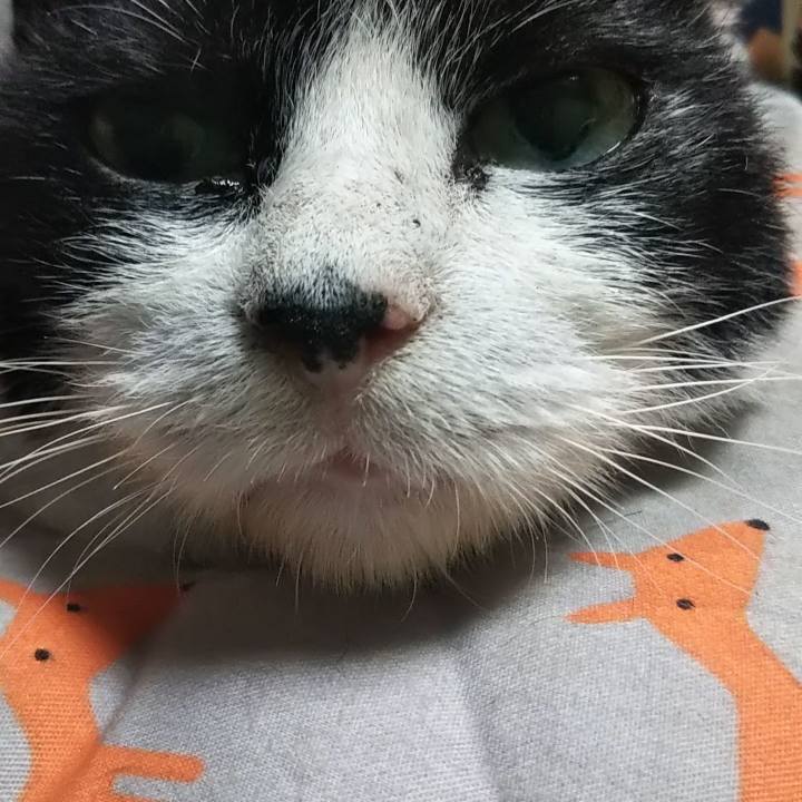 10784d2c cf77 495a 8e32 6d034b00b352 1604915762632