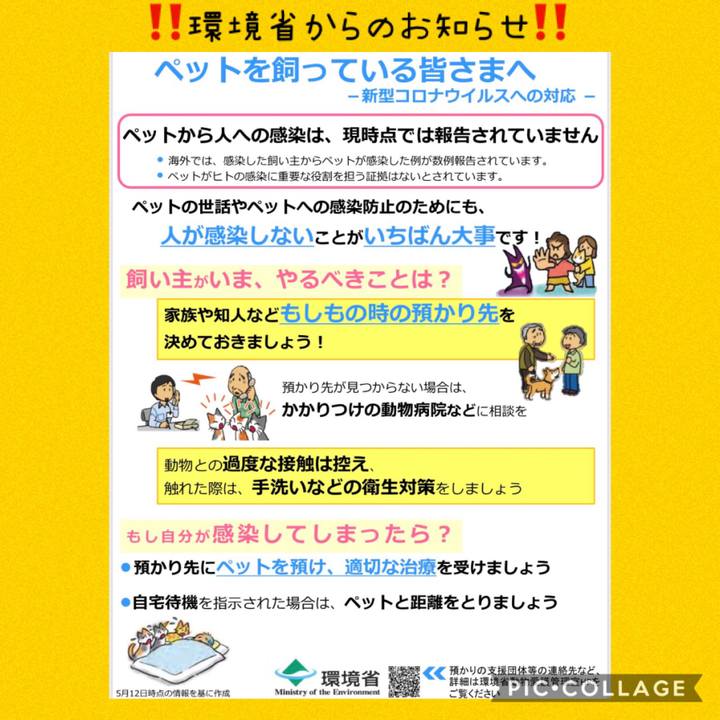 10785b73 de9e 41b3 803c c57b5ccd051b 1589510782936