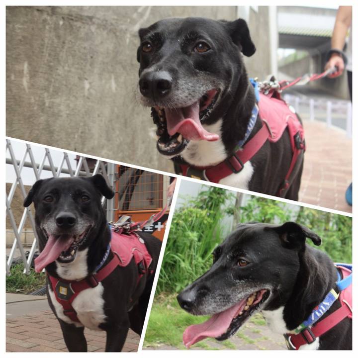 107860bf 782b 4e2d 9731 dc7d1f36dbea 1696121204613