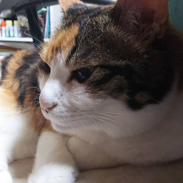 1078d501 81fe 4fc6 b069 147af0632ec8 1562277189650