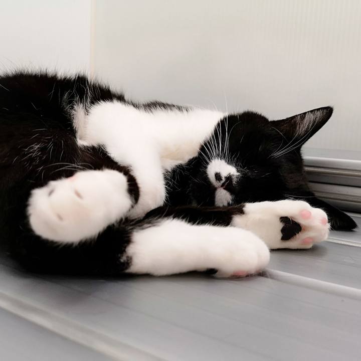 1078edbf 9ac8 4b2f ab14 28463479a57e 1544031257180