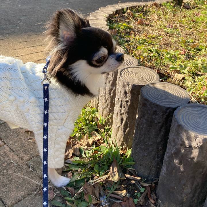 1078f011 4994 47bc a017 375900b2c7f8 1640958526602