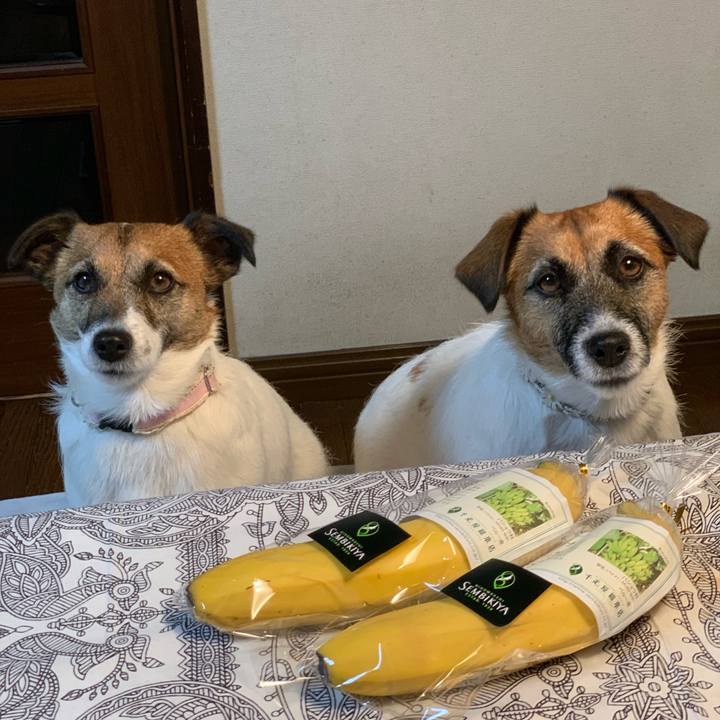 10790339 1d90 4066 b976 7ca1def82a26 1584459339780