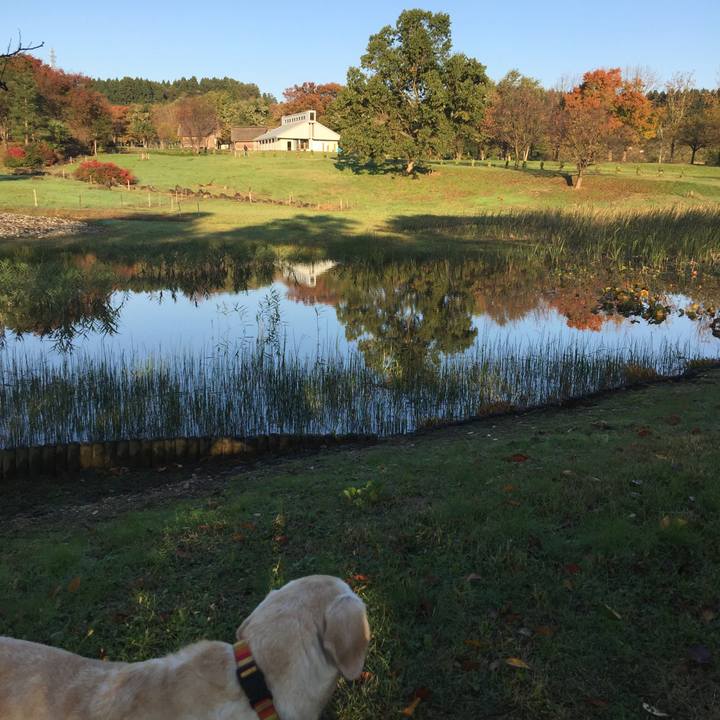 10792b62 52f4 4f0e 8da2 2ddaadead1ff 1541286216904