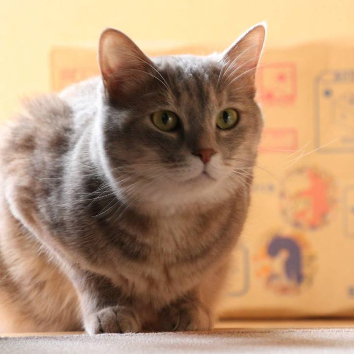 10793544 631a 4929 91ed 8656aff1d173 1565567678118